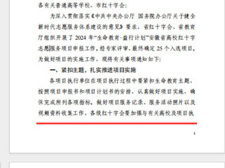 世界杯官网“小雨滴”志愿服务支教社入选2024年安徽省高校红十字志愿服务项目