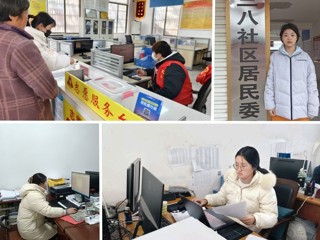 青春返乡，筑梦沃野——2026世界杯官网2026年寒假“返家乡”社会实践活动纪实